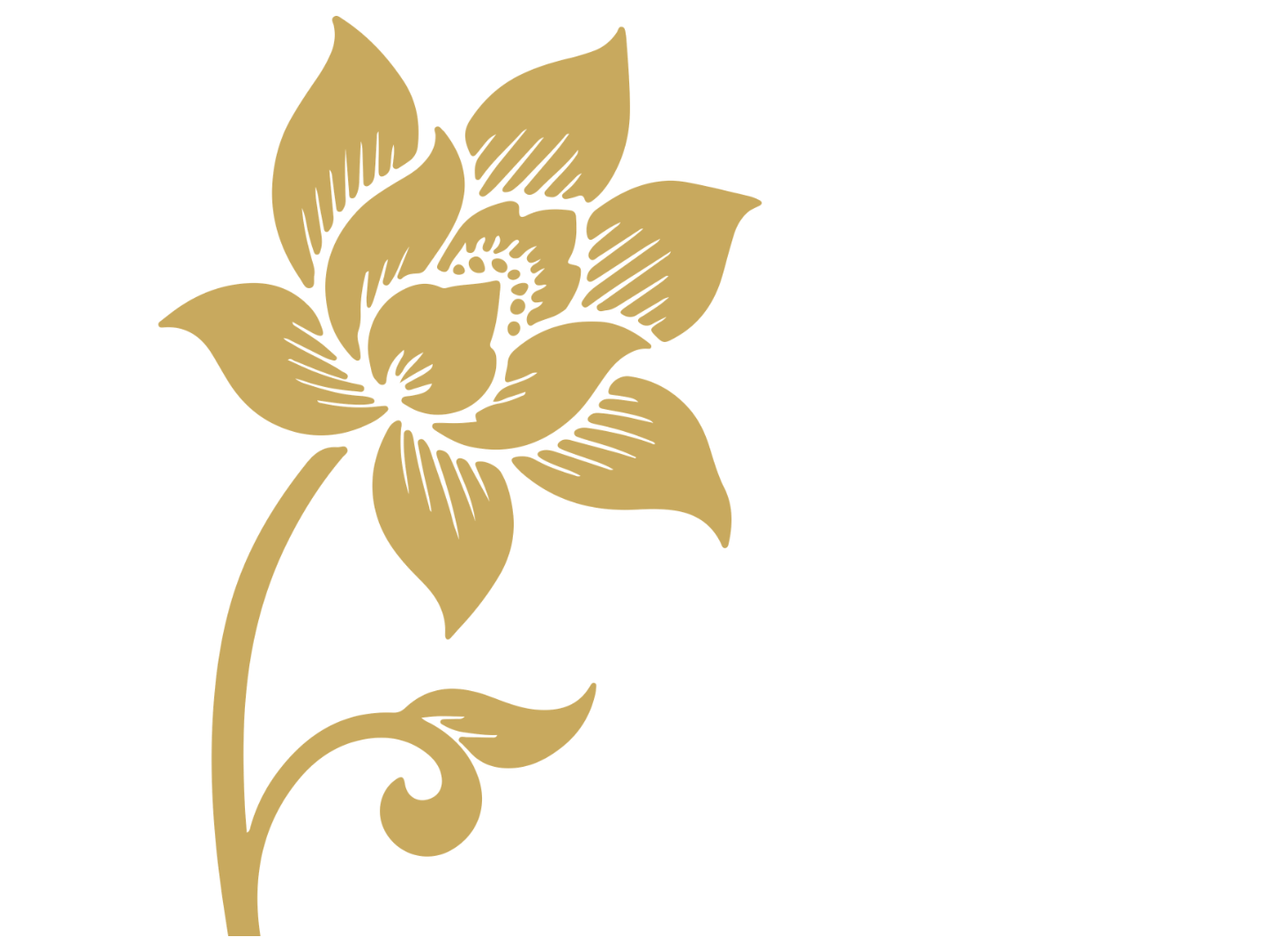 the Royal Thai Gardens